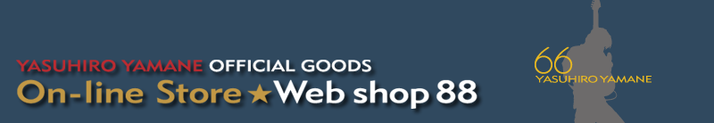 web shop 88 zippo